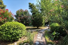 Property 44972 photo 2