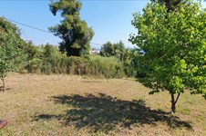 Property 44972 photo 14