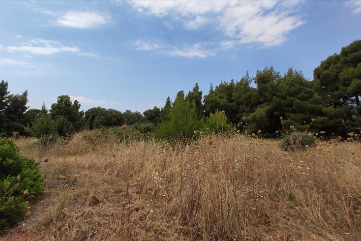 Realty photo 1