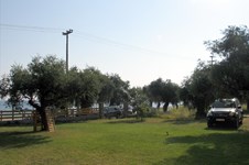 Property 4505 photo 15