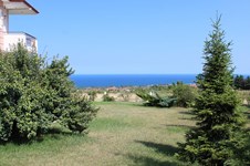 Property 45140 photo 32