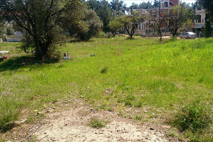Realty photo 1