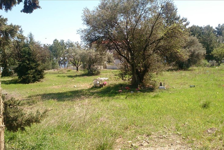 Realty photo 2