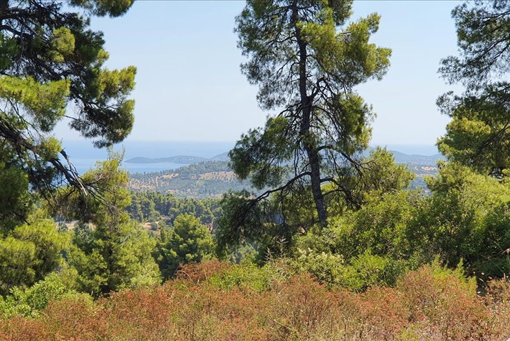 Realty photo 2