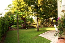 Property 4520 photo 7
