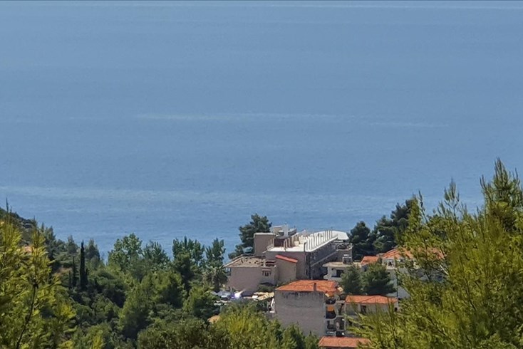 Realty photo 1
