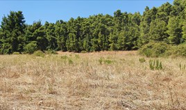 հողատարածք 4668 m² Խալկիդիկի-Կասսանդրայում
