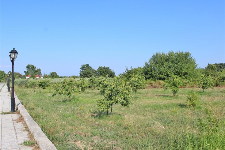 Realty photo 3