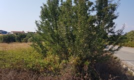 Land 3255 m² in Kassandra, Chalkidiki