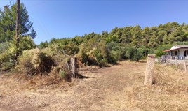 Парцел 684 m² в Ситония (Халкидики)