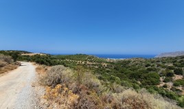Terrain 9363 m² en Crète
