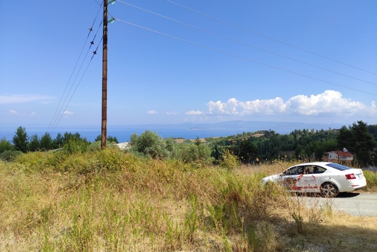 Realty photo 2