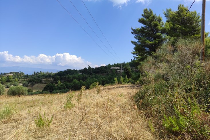 Realty photo 2