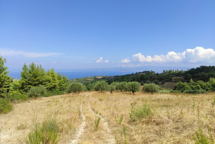 Realty photo 1