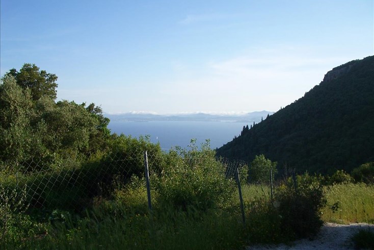 Realty photo 3