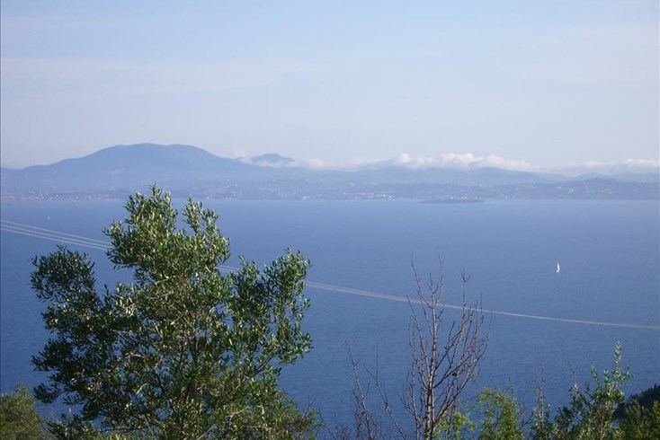 Realty photo 2