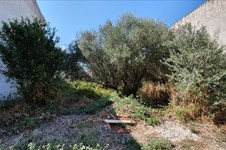 Property 45376 photo 2