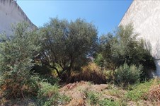 Property 45376 photo 1