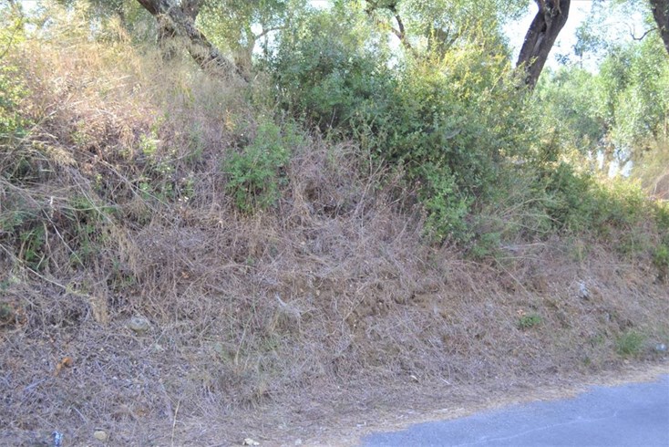 Realty photo 2