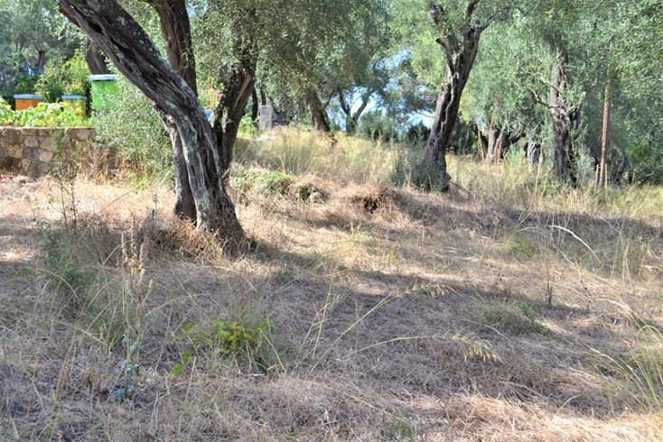 Realty photo 1
