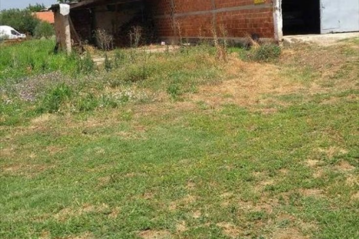 Realty photo 2