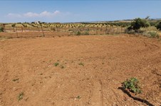 Property 45503 photo 1