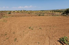 Property 45503 photo 2