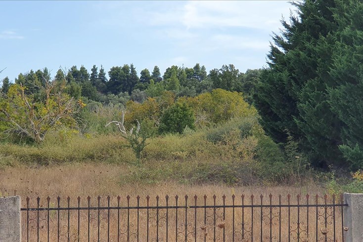 Realty photo 3