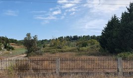 სასტუმრო 6800 m² კასანდრაზე (ქალკიდიკი)