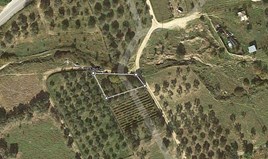 Terrain 600 m² à Sithonia (Chalcidique)