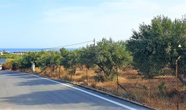 Land 10500 m² auf Kreta
