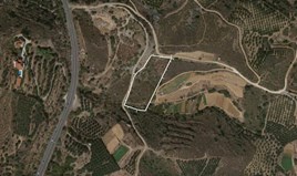 Парцел 6078 m² на Крит