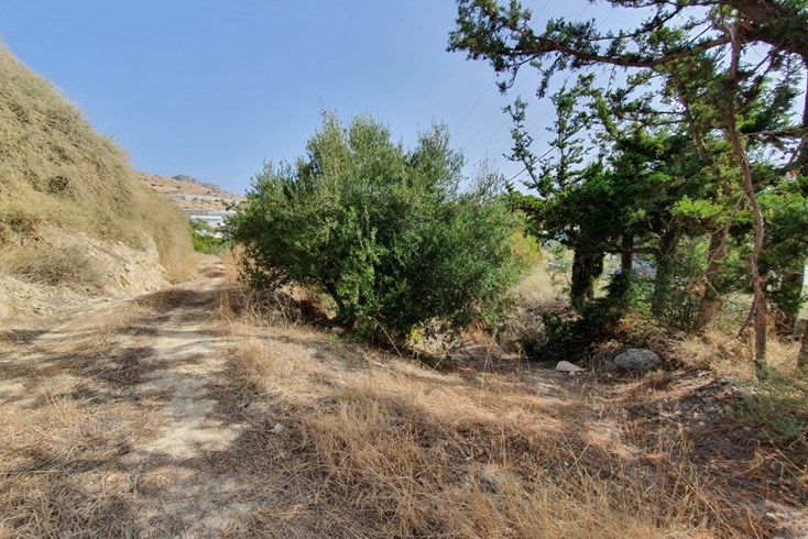 Realty photo 2
