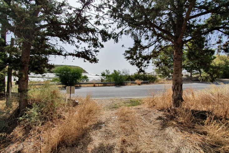 Realty photo 1