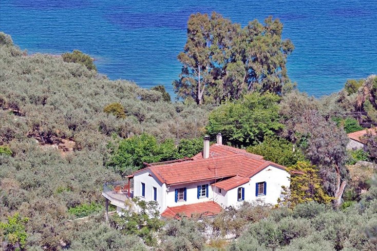 Realty photo 3