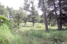 Property 4573 photo 4