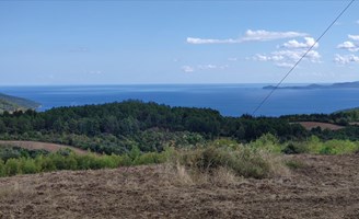 Земельна ділянка 17000 m² на Афоні (Халкідіки)