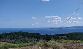 Land 50000 m² auf Athos (Chalkidiki)