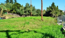 სასტუმრო 3000 m² კორფუზე