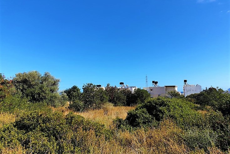 Realty photo 1