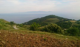 Land 15600 m² in Athos, Chalkidiki