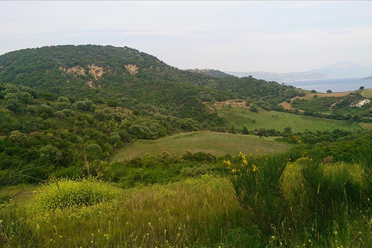 Realty photo 2