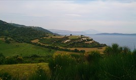 Land 11300 m² in Athos, Chalkidiki