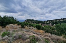 Property 46012 photo 4