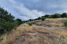 Property 46012 photo 5