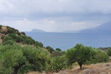 Property 46012 photo 2