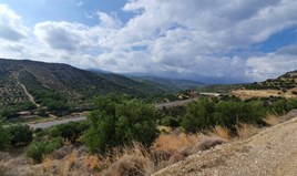 Land 6000 m² auf Kreta