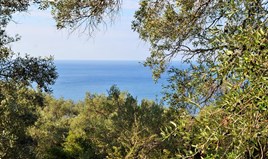 სასტუმრო 7606 m² კორფუზე