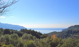 Land 8841 m² in Corfu