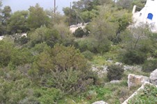 Property 461 photo 1